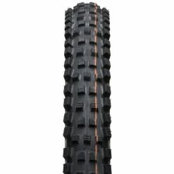 Schwalbe Magic Mary Super Gravity Addix Soft Evo TLE Tire 27.5