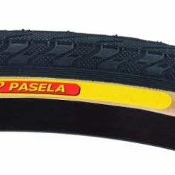 Panaracer Pasela Tire 20"